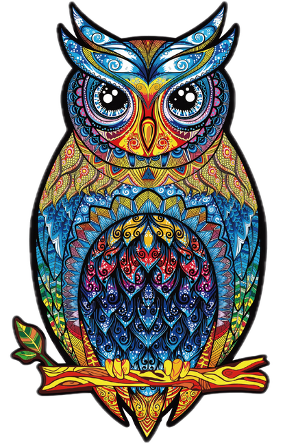 Colorful owl illustration with intricate patterns on a white background