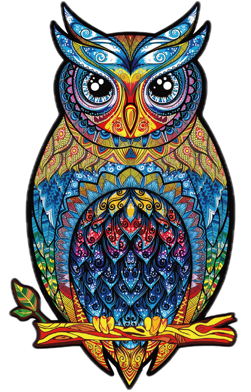 Colorful owl illustration with intricate patterns on a white background