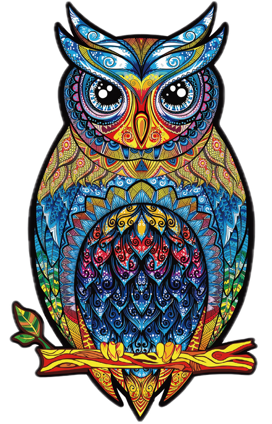 Colorful owl illustration with intricate patterns on a white background